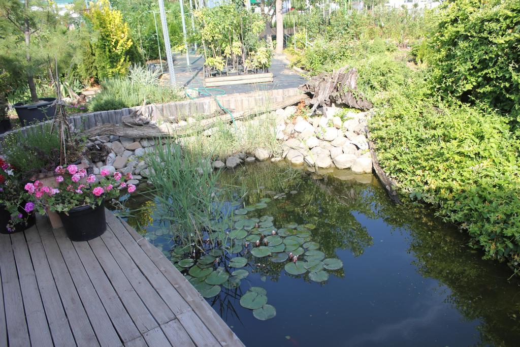 Szep Kert Vendeghaz Hotel Szekszard Luaran gambar